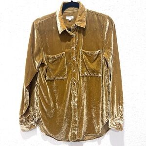 Pilcro Velvet Button-Down‎ Shirt in Rich Gold